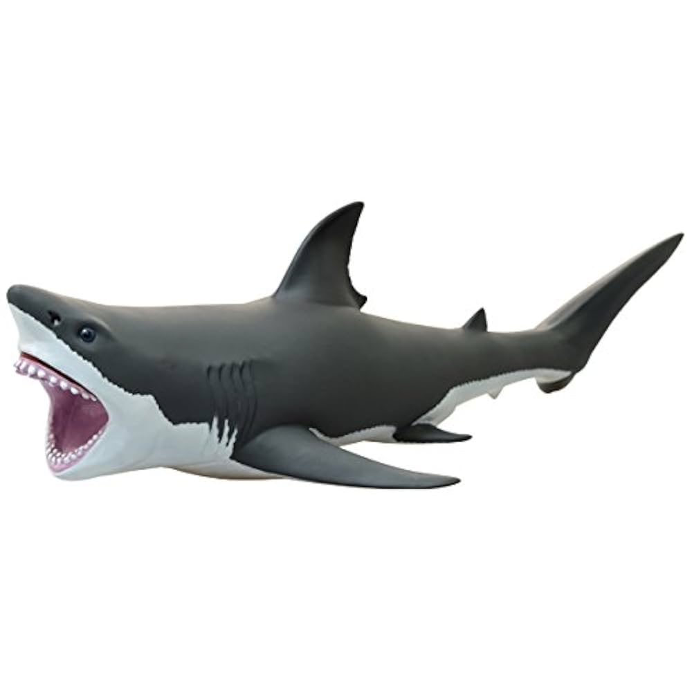 Shark - 完売しました　ありがとうございました！ Great White Shark vinyl model (FM-305) : Amazon.ae: Kitchen